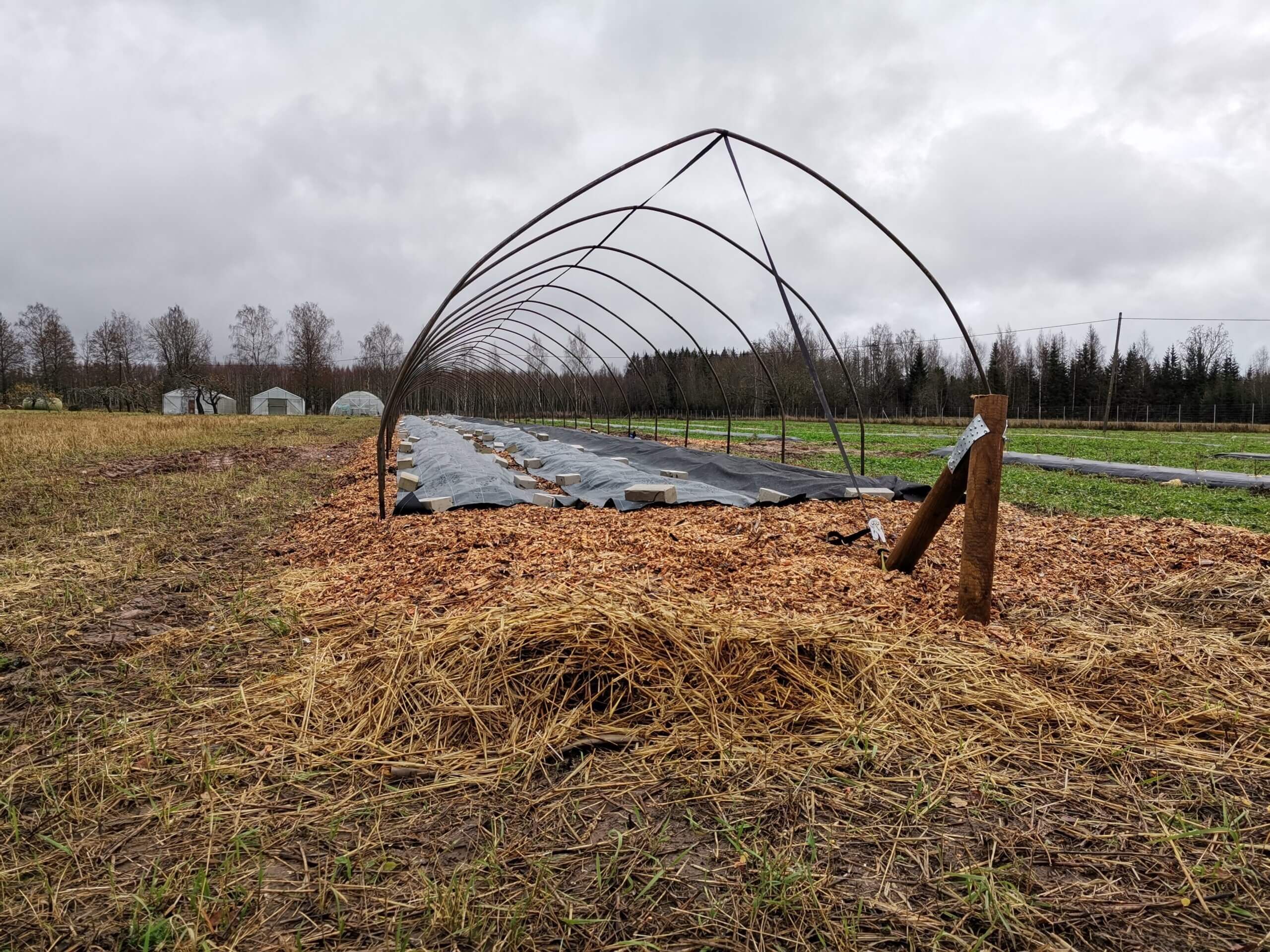 Esimese kiletunneli Alt-Lauri mahetallu ehitasime 2020 aasta kevadel. Nagu ikka uue asja puhul, ei oska kõikidele detailidele algul tähelepanu pöörata. Suuremat